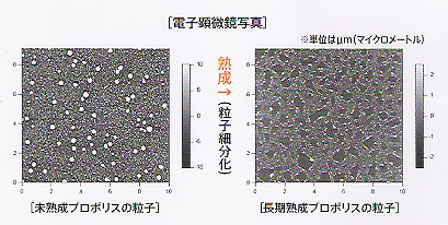 �I�̌b�݁i�Z�k�j�n���v���|���X�u�\�t�g�J�v�Z���v���̓��z�����A�b�v���Ă���킯